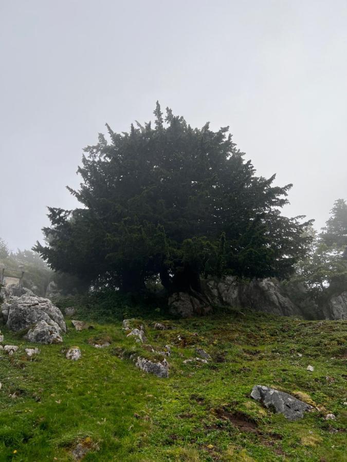 Casa Rural Basiver - Suite Basiver Armano المظهر الخارجي الصورة
